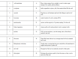 We did not find results for: Cells Test Study Guide Diagram Quizlet