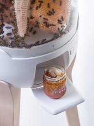 honey i shrunk the beehive bee hive bee keeping beekeeping for beginners