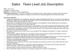 sales call centre resume