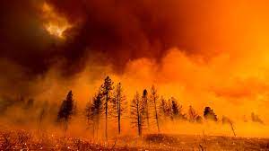 Home weather & advisories restrictions & closures prevention infographics maps gallery careers stories back bureau of land management us forest service. Us Wildfires Firefighters Grapple With Raging Blazes As Temperatures Soar To 54c In California S Baking Death Valley Us News Sky News