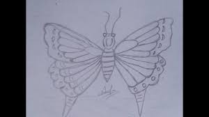 Sketsa gambar kupu kupu terbaik. Sketsa Kupu Kupu Paling Mudah Di Tiru Youtube
