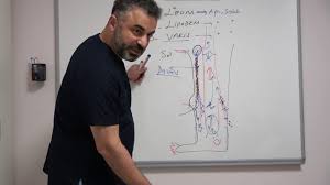 Lipom Ve Yag Bezeleri Ve Bacakta Sislik Ve Agrilar Prof Dr Ahmet Akgul Youtube