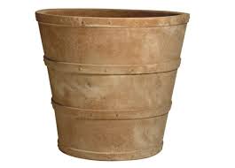 Image result for Tectona