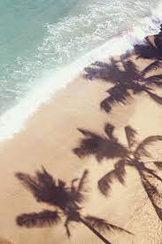 Photo Diary Maui Beach Beach Life Ocean