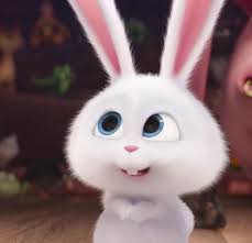 White rabbit holding carrot, hare, evil, snowball, film character. No Matter How Many Times I Look At This All I Can See Is Kookie Gambar Kelinci Anak Binatang Kartun