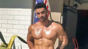 Another gay adult star comes out as a Trump supporter—and hes getting  dragged for it