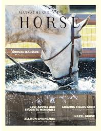 For more than 50 years, south essex insurance brokers have provided specialist cover to suit a vast array of sectors, from horse insurance to private hire insurance to funeral directors insurance and more. Massachusetts Horse August September 2017 By Community Horse Media Issuu
