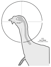 10 best printable turkey target real size printablee com