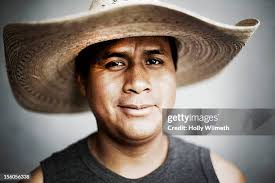 16 Holly Franks Stock Photos, High-Res Pictures, and Images