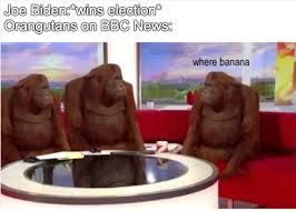 Lift your spirits with funny jokes, trending memes, entertaining gifs, inspiring stories, viral videos. Orangutans Just Don T Give A Shit About The Election Memes