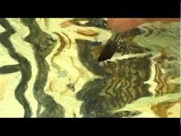 Leonardo Da Vinci The Man Who Wanted To Know Everything Bbc Stan Miller Watercolor Using Tempera But The Ripple Effect Is Worth Watching Excellent Art Demonstrations Artist At Work Watercolor Video