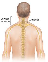 Preheat an oven to 375 degrees f (190 degrees c). Understanding Cervical Radiculopathy Saint Luke S Health System