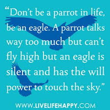 Don T Be A Parrot In Life Be An Eagle A Parrot Talks Way Too Much But Can T Fly High But An Eagle Is Silent And Has The Will Power To Touch The