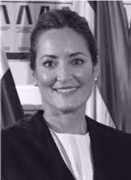 Composición del Pleno