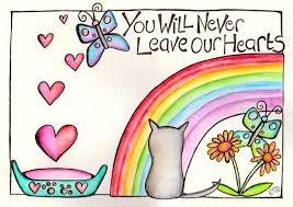 I've witnessed a lot of cats purring when they're dying, and when they're being put to sleep. It S Not Silly To Cry When Your Cat Dies Katzenworld