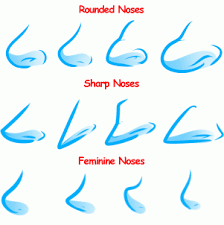 How To Draw Profile Faces Draw Anime Noses Step 9 Anime Nose Nose Drawing Profile Drawing