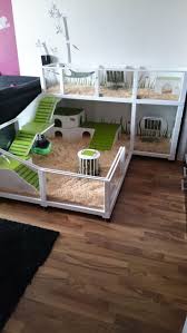 Your Own Buildings Indoor Attitude Page 8 Tiere Attitude Buildings Indoor Page Tiere Kaninchenkafig Meerschweinchenstall Meerschweinchen Haus