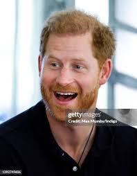 11,476 Happy Harry Stock Photos, High-Res Pictures, and Images