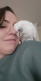 Hunter Healthy Baby Humidifier Recommendations