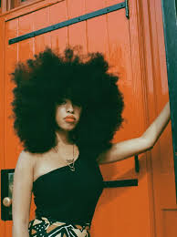 Image result for Afrosolen schimperi