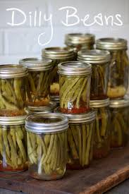 Wildly Simple Dilly Beans Pickled Green Beans Pickles Canning Recipes Pickled Green Beans
