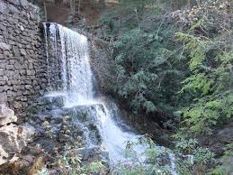Hickory run state park waterfalls. Waterfall On Shades Of Death Trail Picture Of Hickory Run State Park White Haven Tripadvisor