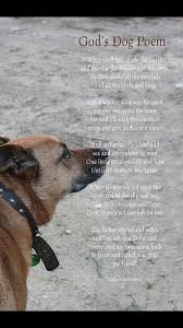 Dog Poem Barney Loving Companion Animales Divertidos Animales Proteccion Animal
