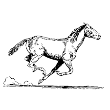 Makkelijke kleurplaat geïnspireerd kleurplaat konijn peuters. Leuk Voor Kids Paard In Galop