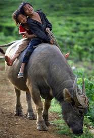 Voyage Vietnam Circuit Sur Mesure Avec Asiatica Travel Photos D Enfants Portrait Enfant Enfant Du Monde
