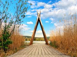 Lefoglalt lőfegyverek, luxusautók, egymilliárdos kárt okozott tóth csaba. 5lkumxrdwiqxfm