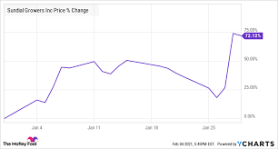 Find the latest news headlines from sundial growers inc. Why Sundial Growers Stock Jumped 72 Last Month The Motley Fool