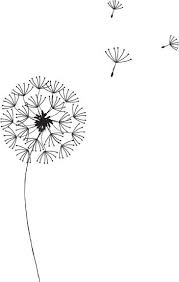 Dandelion Graphic By Everydaykelly On Deviantart Dandelion Drawing Flower Drawing Easy Drawings