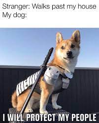 These short and clever jokes are seriously funny and are ranked on votes by you every week we update this list to prioritise the funniest jokes, help us improve the page by voting in case he got a hole in one. Lmaoo That S Me Doc In 2020 Funny Animal Jokes Funny Dog Memes Funny Animal Memes