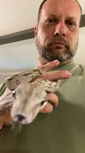 Could this be turned into a good enclosure for a red tail boa? ￼