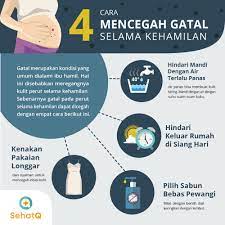 We did not find results for: Gatal Gatal Saat Hamil Kenali Penyebab Dan 8 Cara Mengatasinya