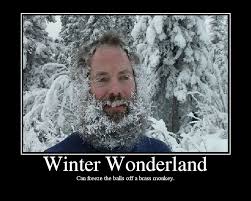 Winter Wonderland Picture