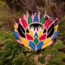 PutSAnsFirst ❤️🇿🇦