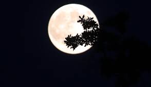 Luna plină în pești din 14 septembrie vă aduce dorința de a vă proteja afectiv, de a nu risca ori de a nu vă compromite tihna, echilibrul și beneficiile unui pe fondul lunii pline în pești din 14 septembrie, în dialogurile voastre cu asociații, colaboratorii, vă veți arăta radicali în decizii și fermi în opțiuni. Cele Mai Spectaculoase Imagini Cu Superluna Realizate In Romania In Lume Si In SpaÅ£iu Galerie Foto
