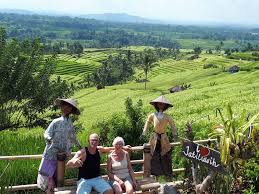 Jatiluwih Rice Terrace Teras Sawah Memukau Juni 2021 Travelspromo