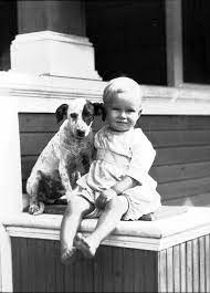 child and dog dogs and kids dog photography animals
