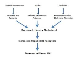 Cholesterol Lowering Drugs Endotext Ncbi Bookshelf