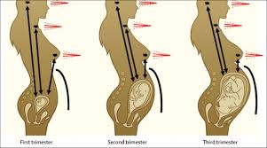 Remember the symptoms we list here are not usually cancer. Effects Of Cancer Treatment During Pregnancy On Fetal And Child Development The Lancet Child Adolescent Health