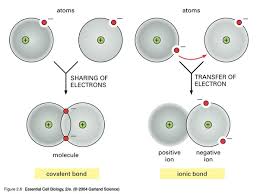 The formations of ionic and covalent compounds are different. Which Are Soluble In Water Covalent Compounds Or Ionic Compounds Quora