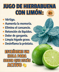 Jugo de hierba buena con limón 👇