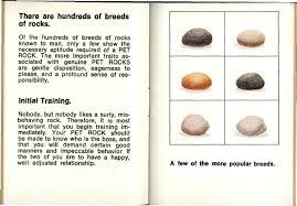 The Care And Training Of Your Pet Rock Manual By Gary Dahl Obedience Training Pet Free 30 Day Trial Scribd Pet Rocks Pet Training Your Pet