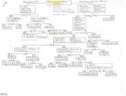 identifying unknown bacteria flowchart fresh flow chart