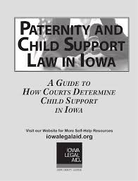 Paternity And Child Support Law In Iowa