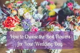 We did not find results for: How To Save Money On Wedding Flowers For The Month Of Your Nuptials Holidappy