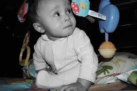 Sol Fern Fotographia