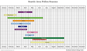 pollen count northwest asthma allergy center